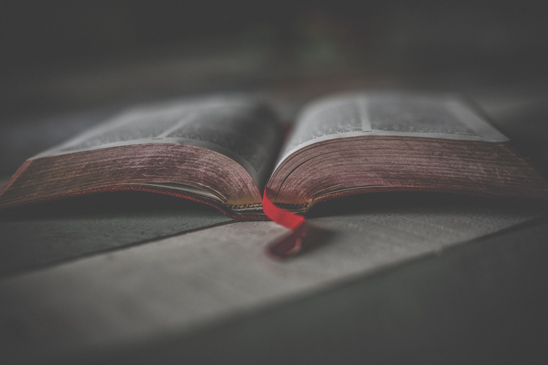 Close-up Photo of an Opened Religious Book